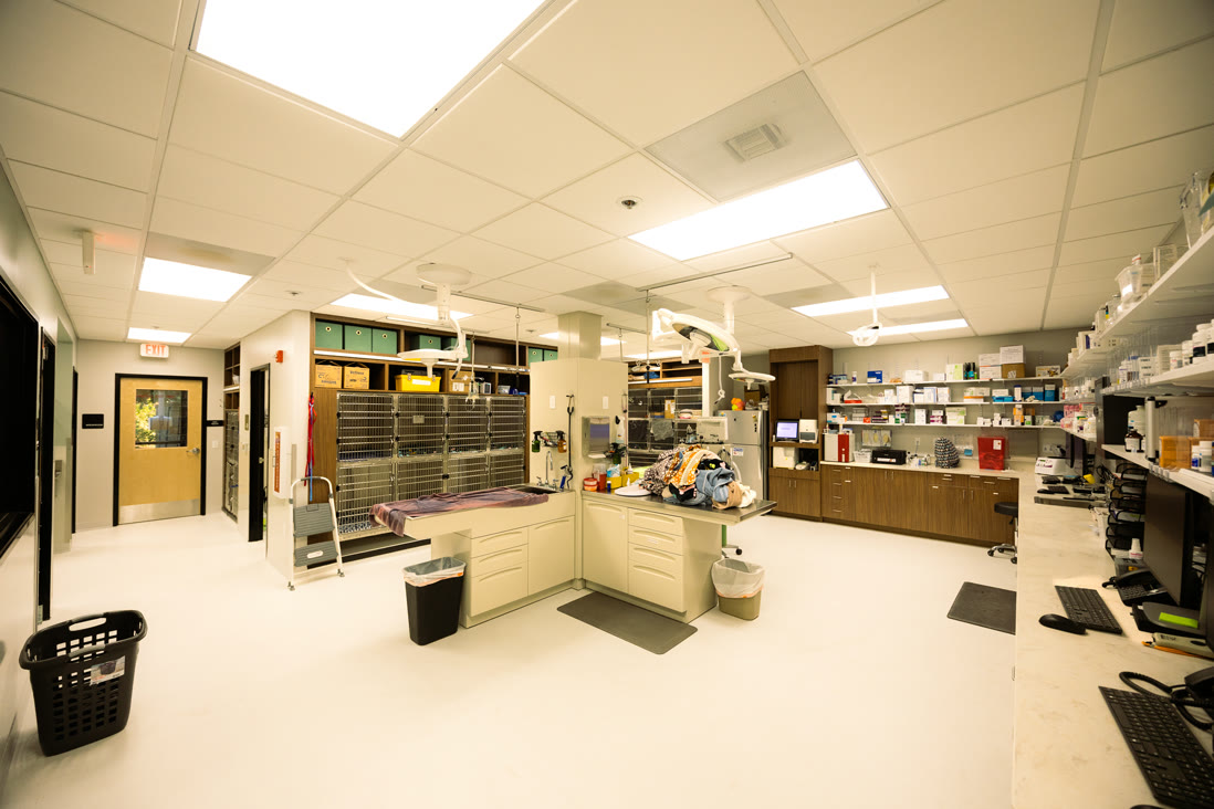 Western Vet Clinic