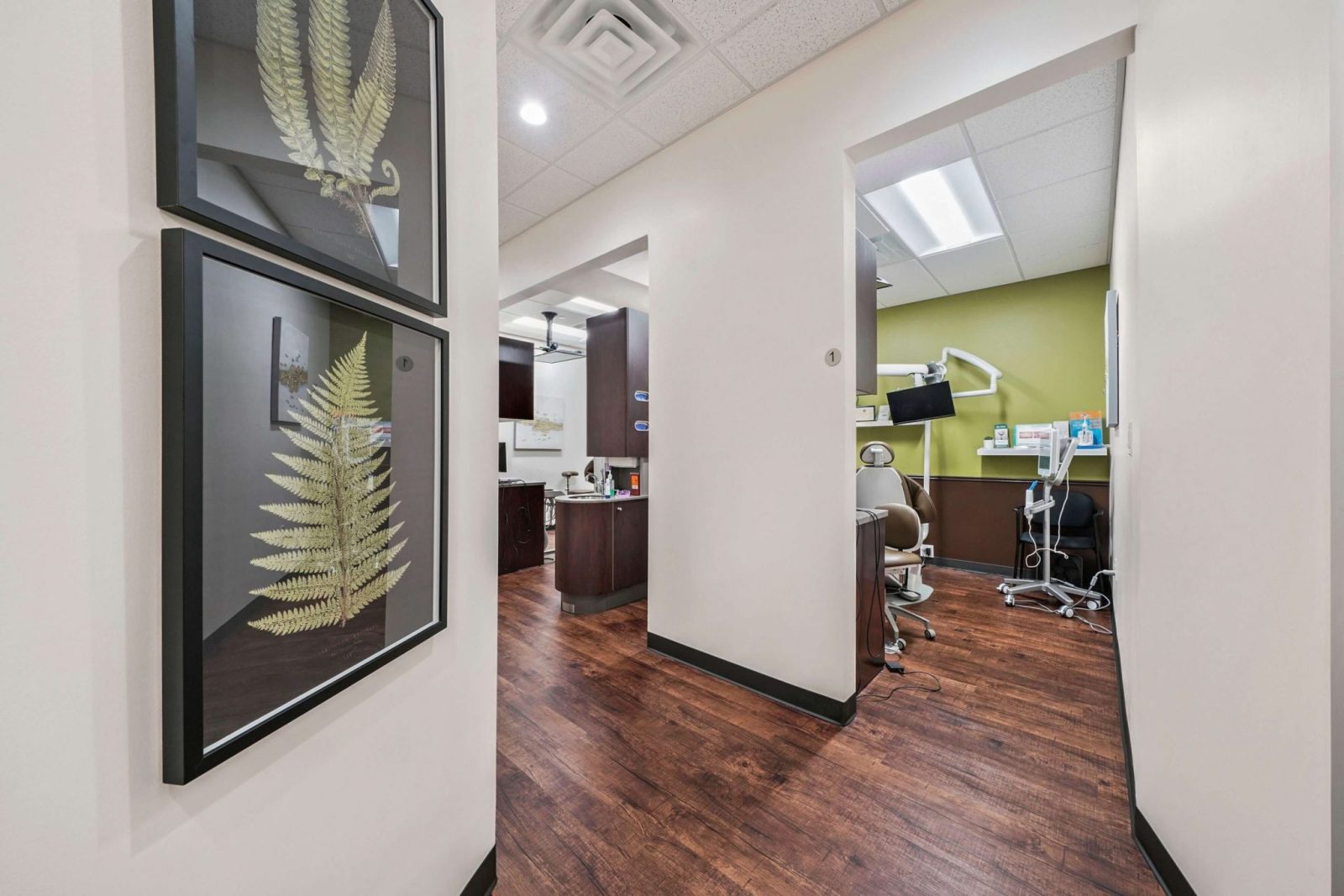 Dental by Modern Northwest