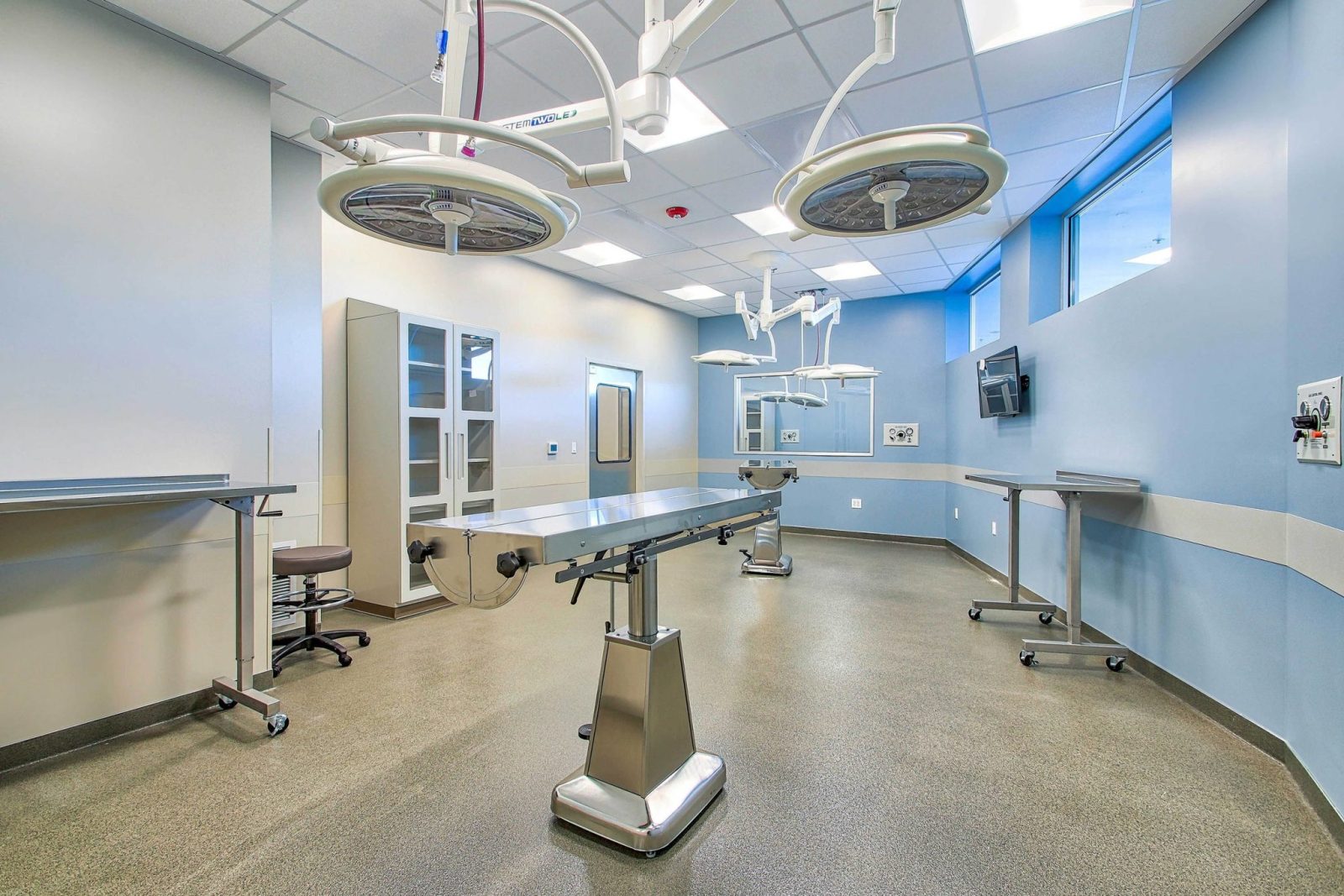 Veterinary by Modern Northwest