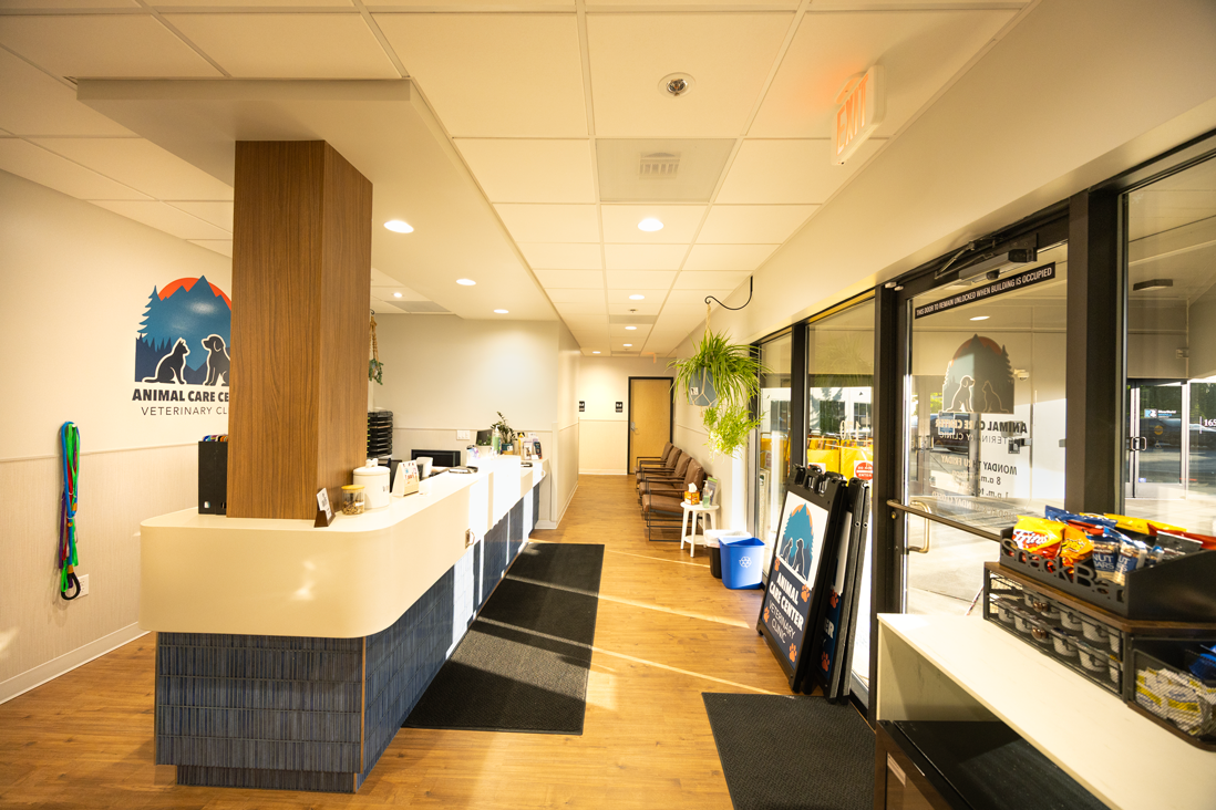 Veterinary by Modern Northwest